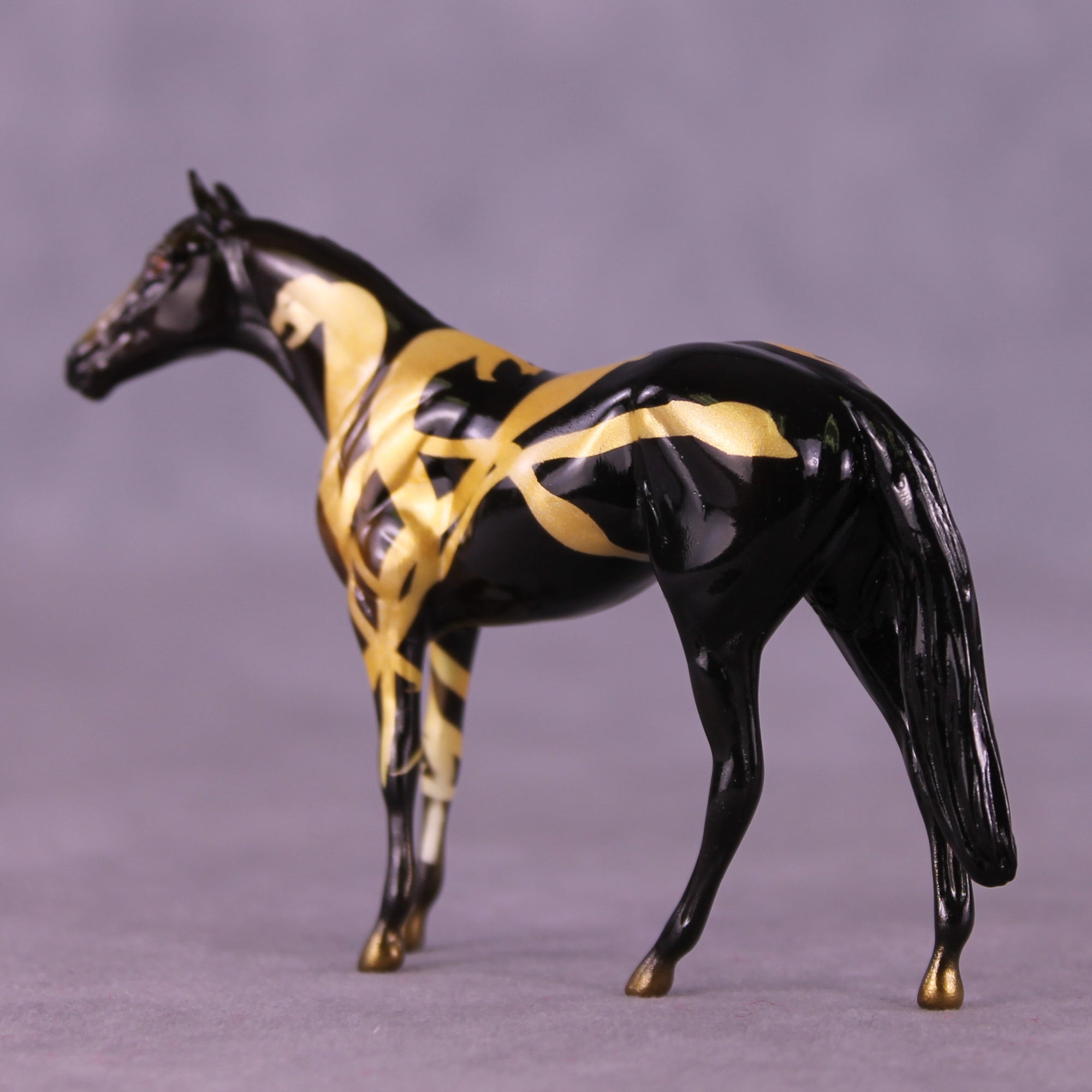 No Explanation LE-5 Chip Thoroughbred by Kike (Enrique) Duarte SCD25