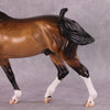 &quot;Kamoze&quot; OOAK FCM Irish Draught By Caroline Boydston SHCF25 Best Offer 5/27/25