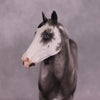&quot;Glaucous&quot; OOAK Stock Horse by Sheryl Leisure Best Offer 6/10/25