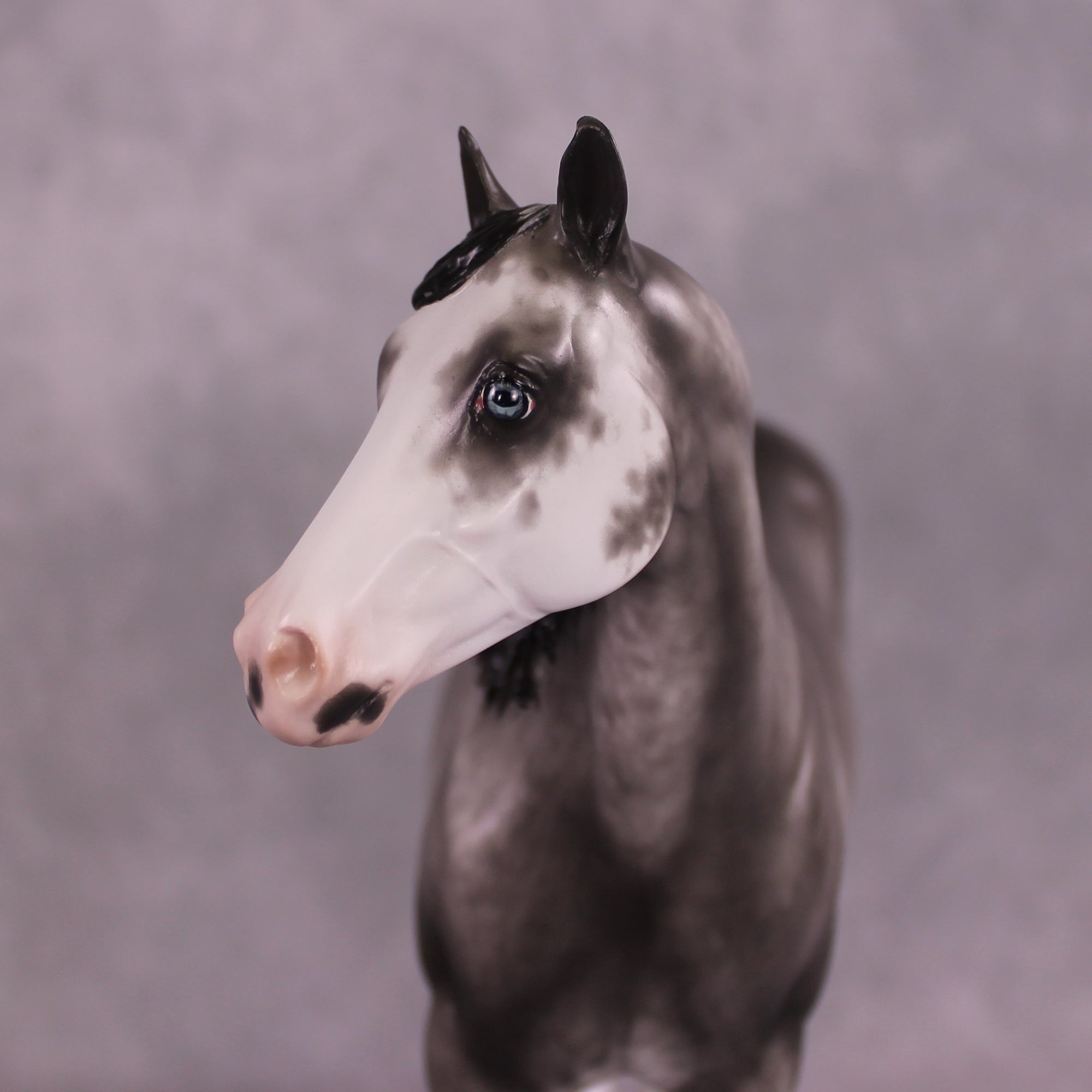 "Glaucous" OOAK Stock Horse by Sheryl Leisure Best Offer 6/10/25