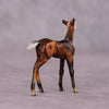 &quot;Petalode&quot; &amp; &quot;Ant&quot; Foal Chip By Dawn Quick May Flower Series FS25