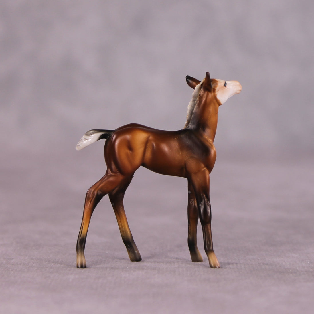 "Petalode" & "Ant" Foal Chip By Dawn Quick May Flower Series FS25