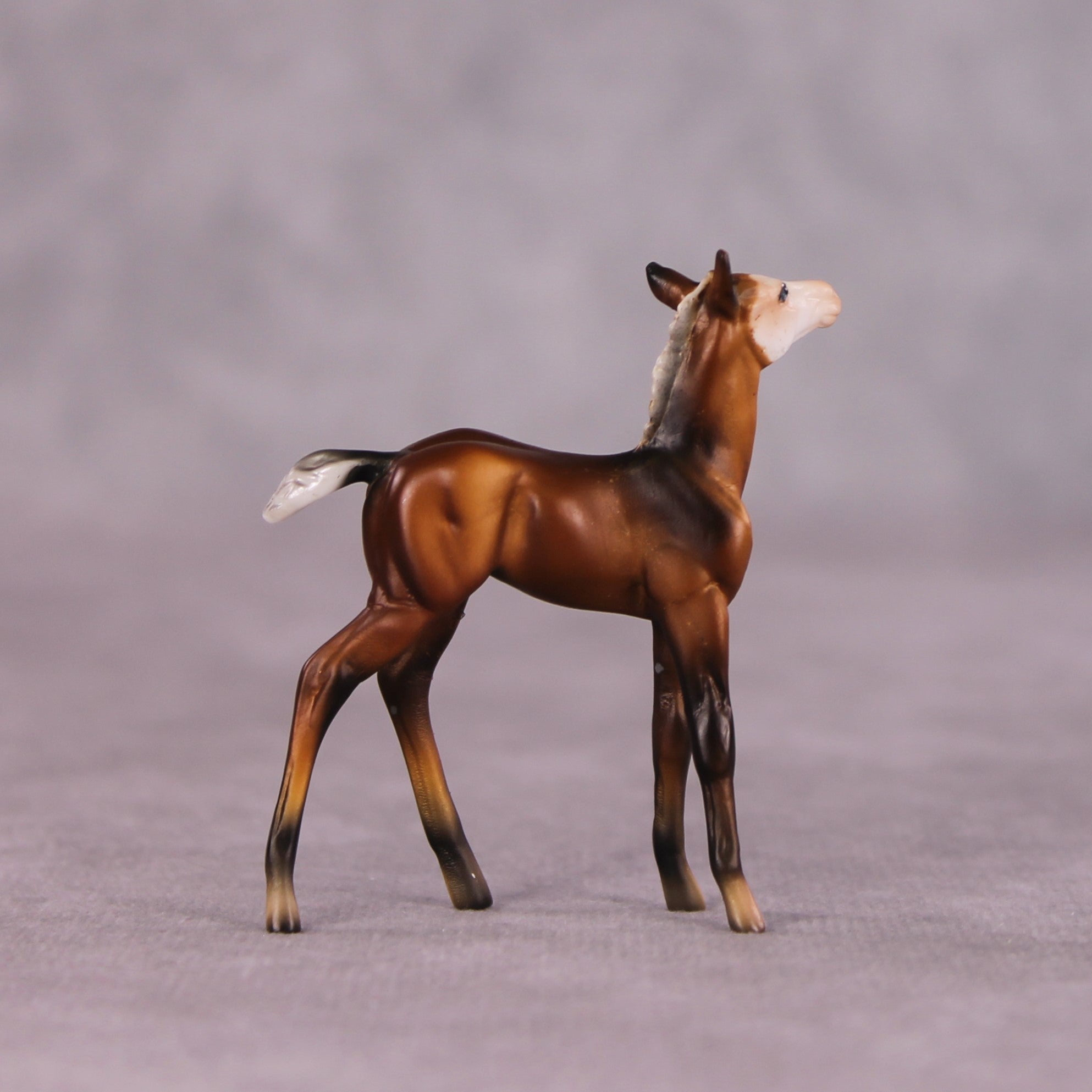 "Petalode" &amp; "Ant" Foal Chip By Dawn Quick May Flower Series FS25