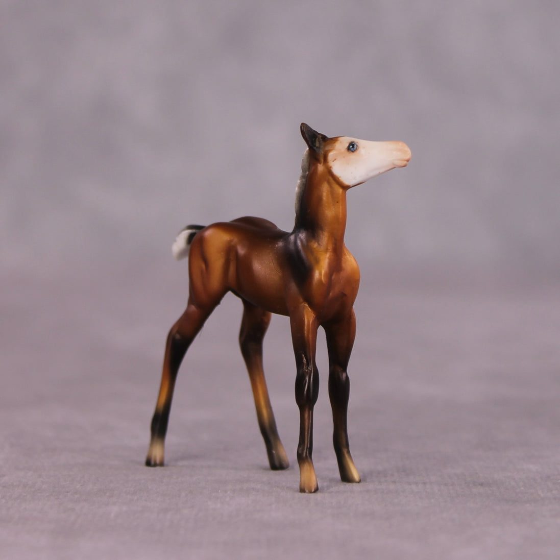 "Petalode" & "Ant" Foal Chip By Dawn Quick May Flower Series FS25
