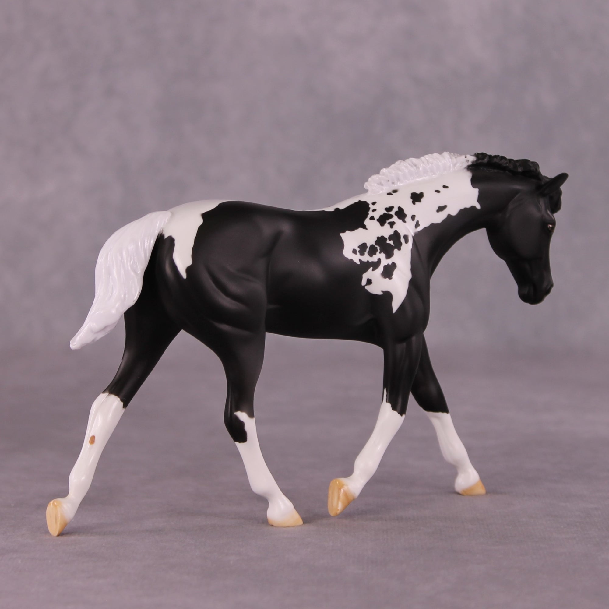 "Whispered Words" OOAK FCM Warmblood Pebble by Dawn Quick EQ25