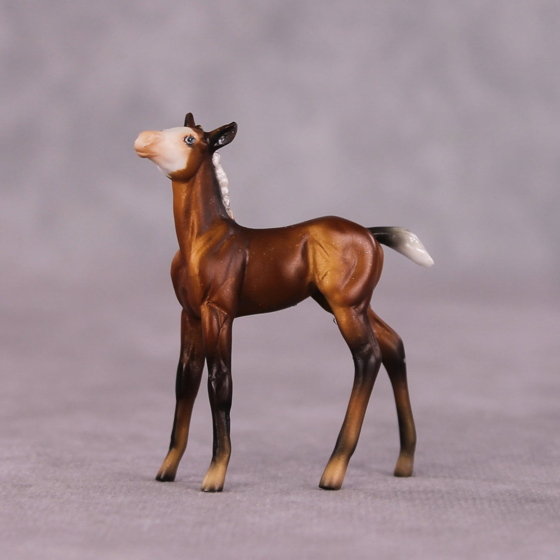 "Petalode" & "Ant" Foal Chip By Dawn Quick May Flower Series FS25