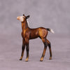 &quot;Petalode&quot; &amp; &quot;Ant&quot; Foal Chip By Dawn Quick May Flower Series FS25