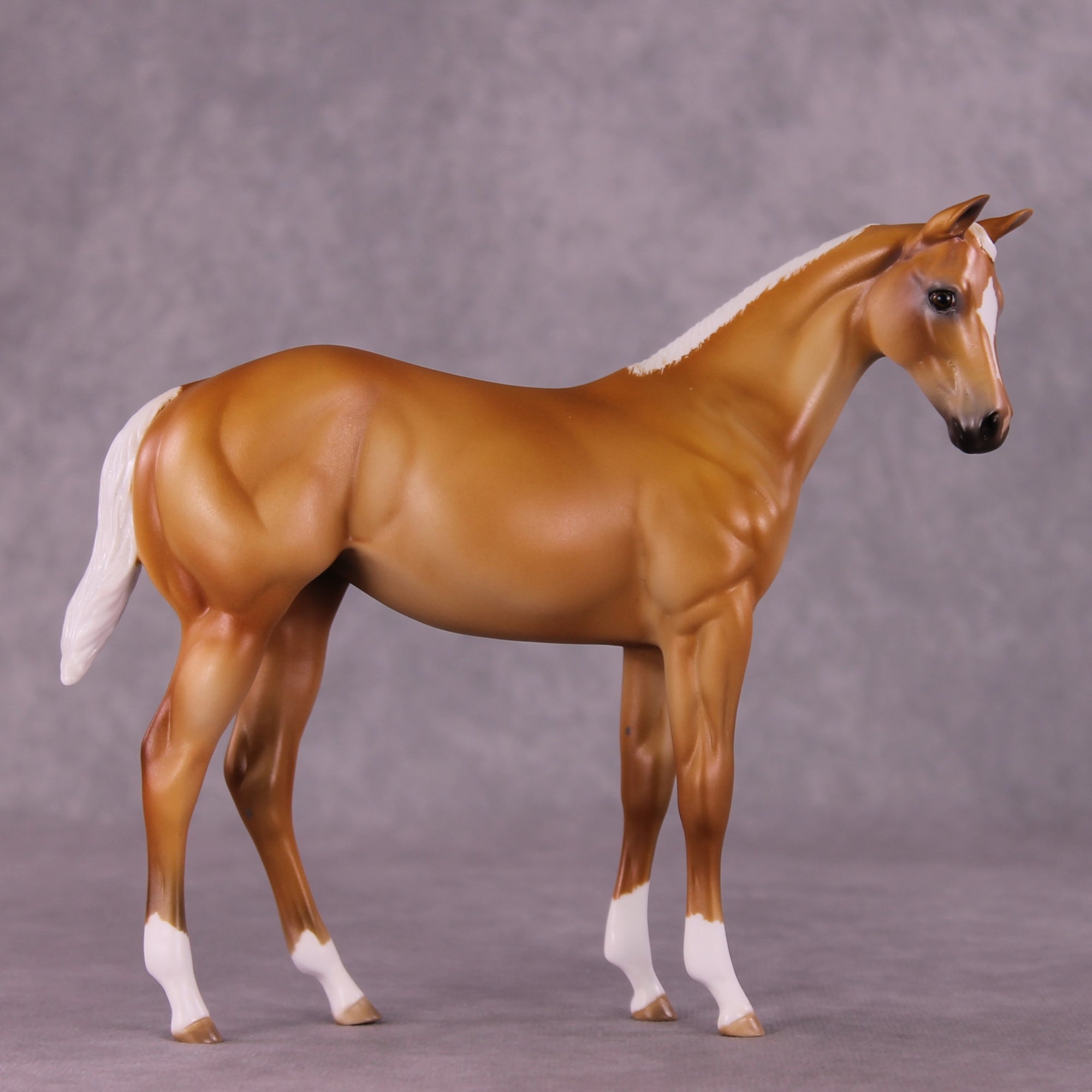 "Toasted Coconut" OOAK Weanling by Julie Keim EQ25