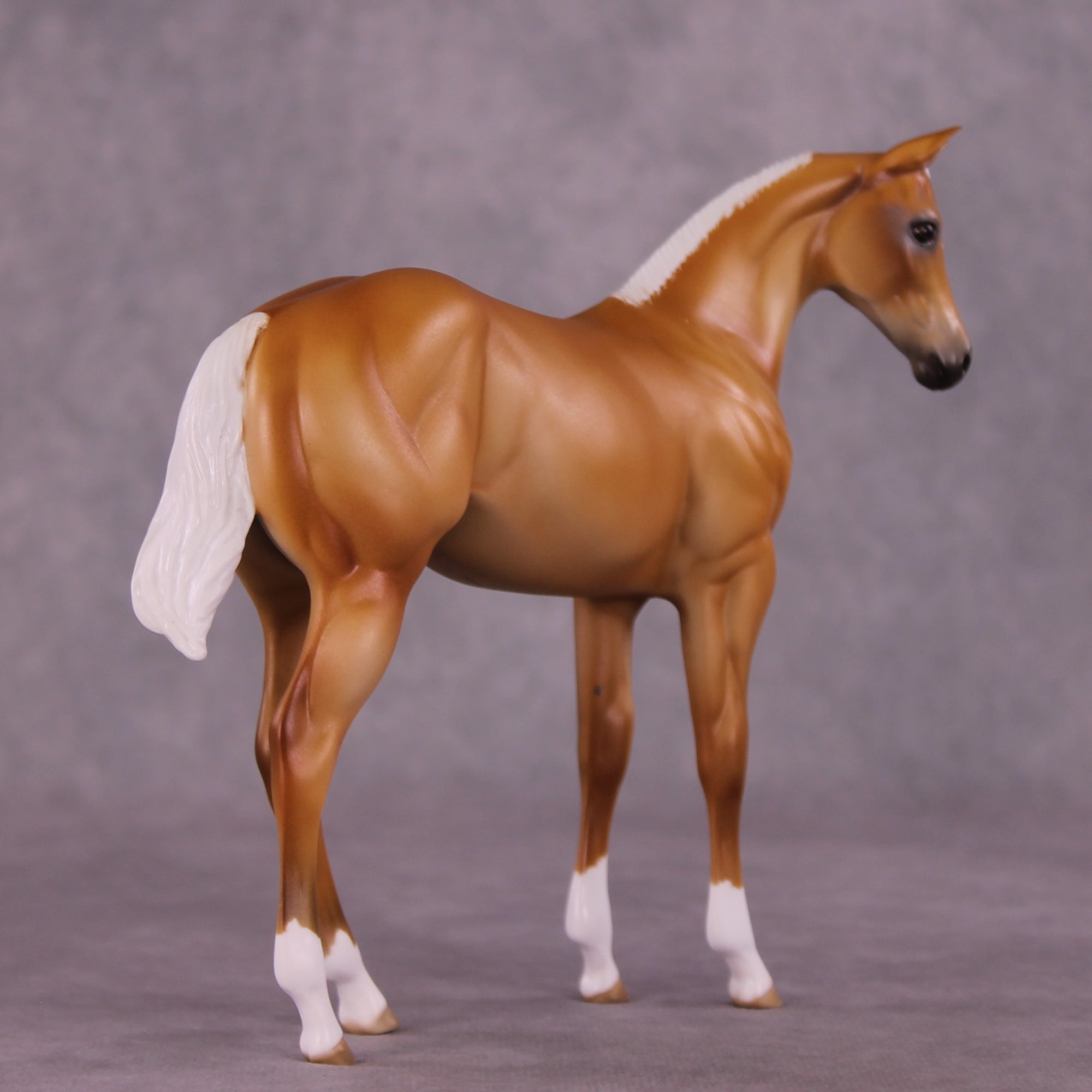 "Toasted Coconut" OOAK Weanling by Julie Keim EQ25