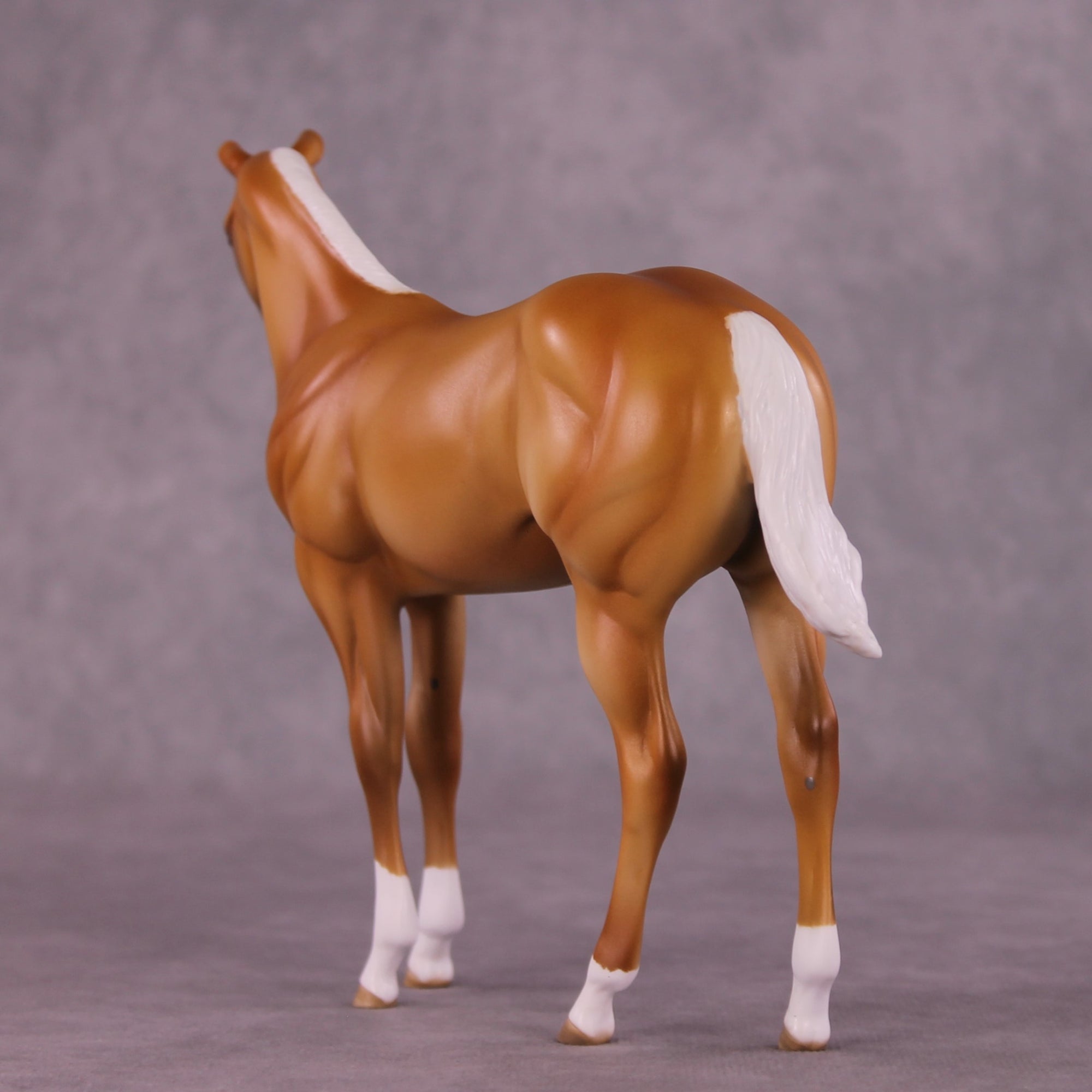 "Toasted Coconut" OOAK Weanling by Julie Keim EQ25