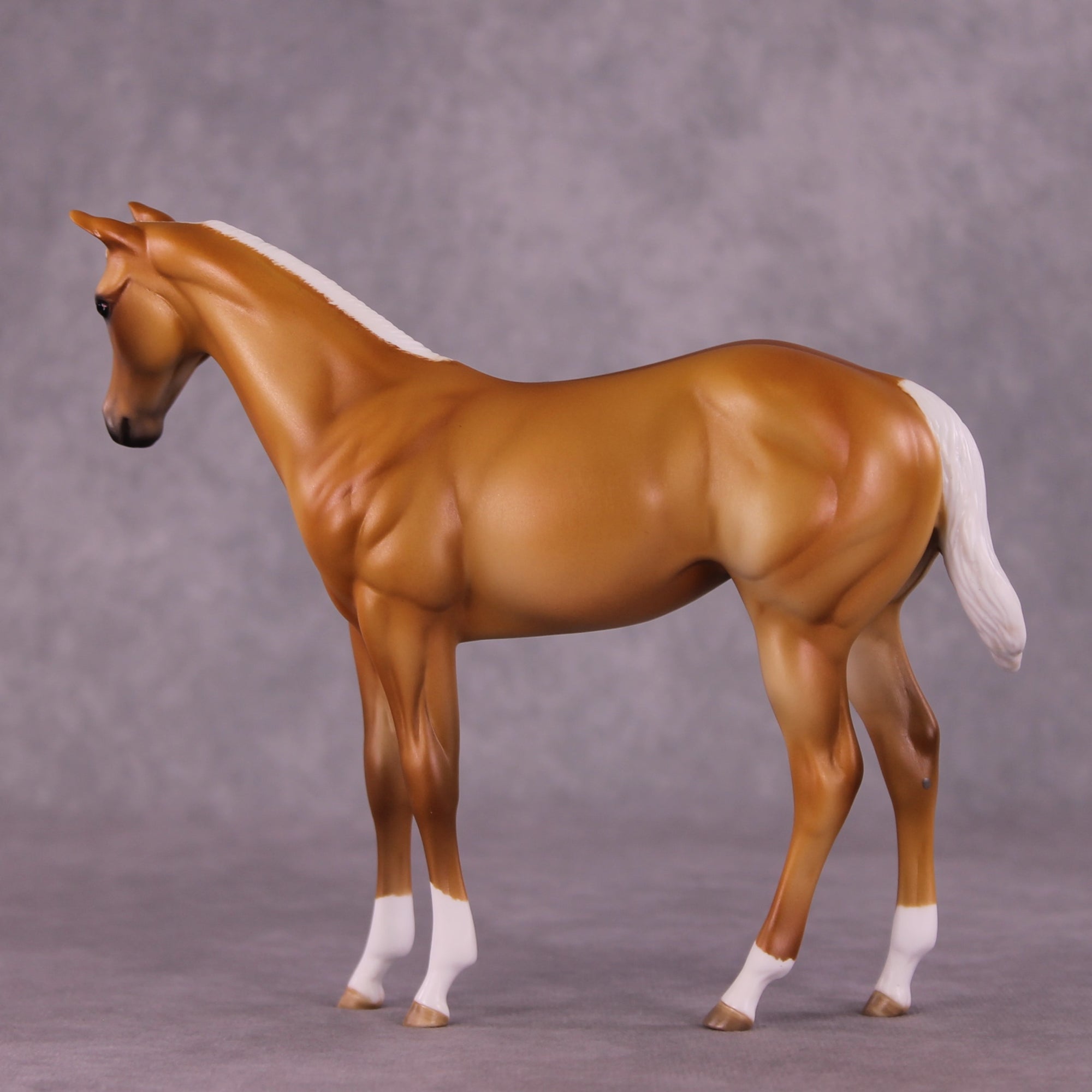 "Toasted Coconut" OOAK Weanling by Julie Keim EQ25