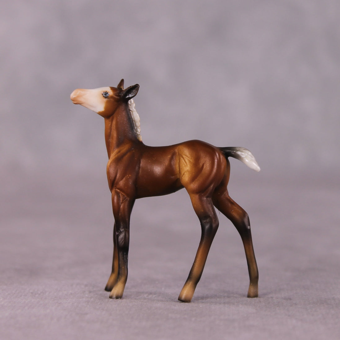 "Petalode" & "Ant" Foal Chip By Dawn Quick May Flower Series FS25