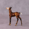 &quot;Petalode&quot; &amp; &quot;Ant&quot; Foal Chip By Dawn Quick May Flower Series FS25