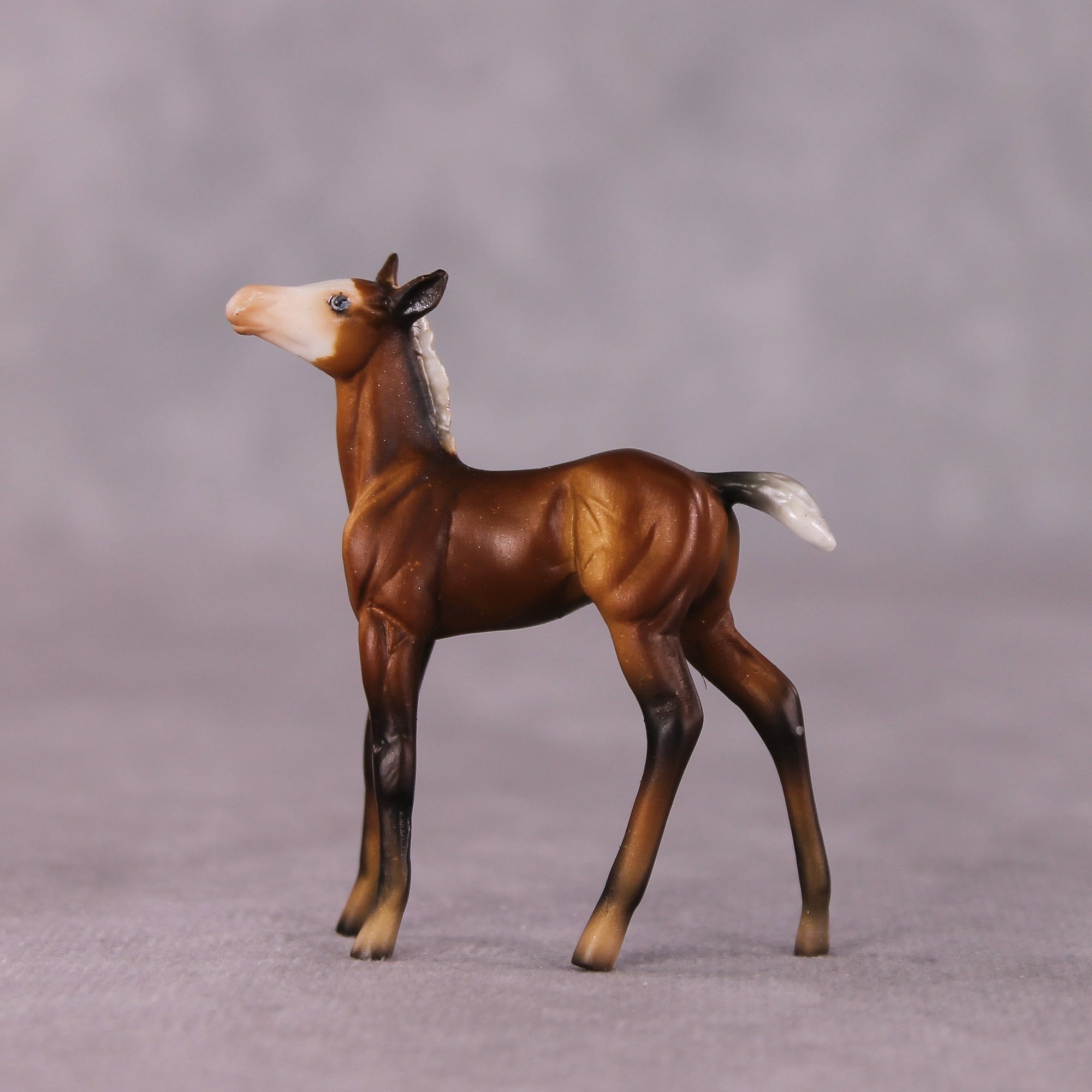 "Petalode" &amp; "Ant" Foal Chip By Dawn Quick May Flower Series FS25