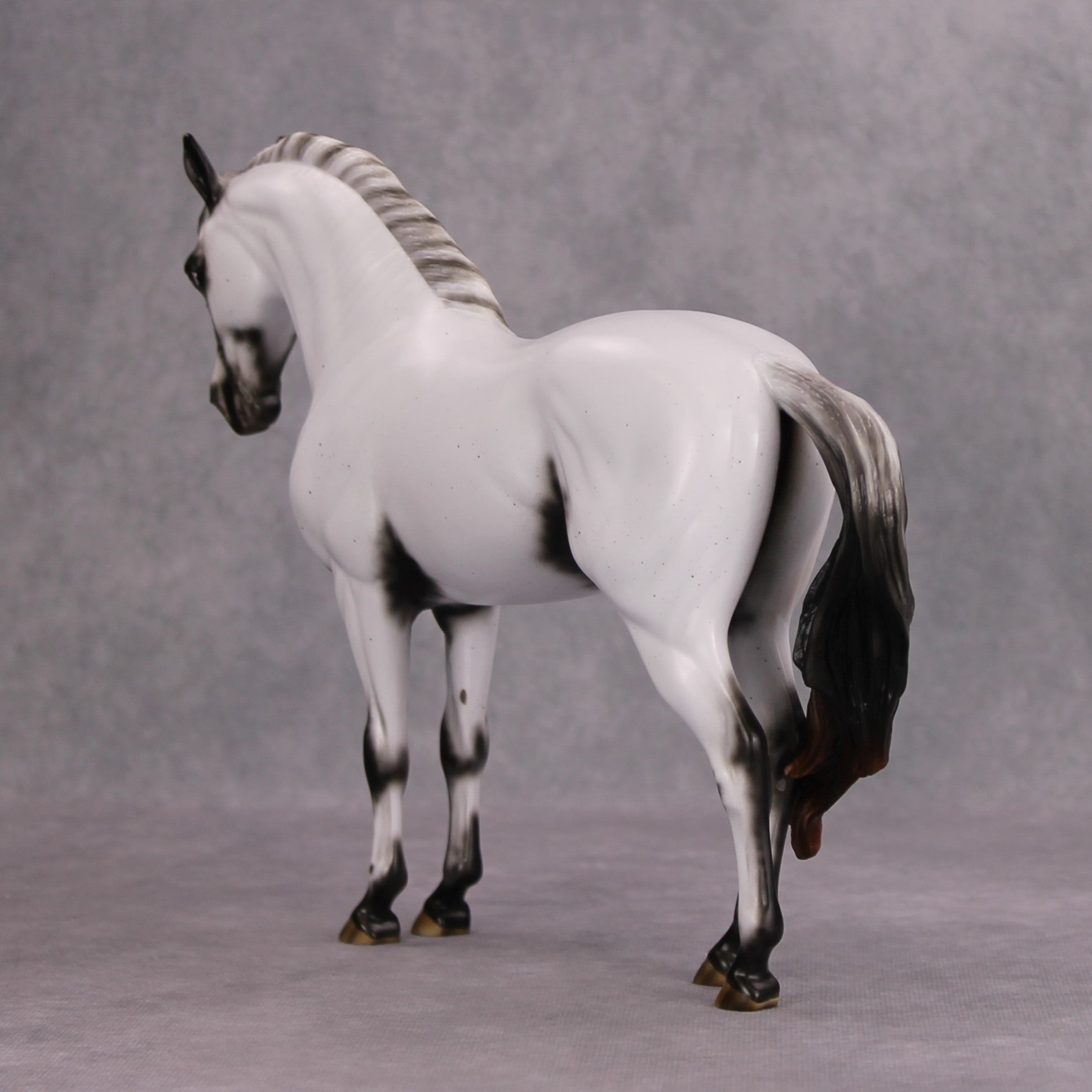 Phantom Traveller OOAK Flebitten Grey Few Spot Appy By Ashley Palmer MM24 MHP Auction Piece