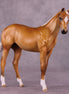 "Toasted Coconut" OOAK Weanling by Julie Keim EQ25
