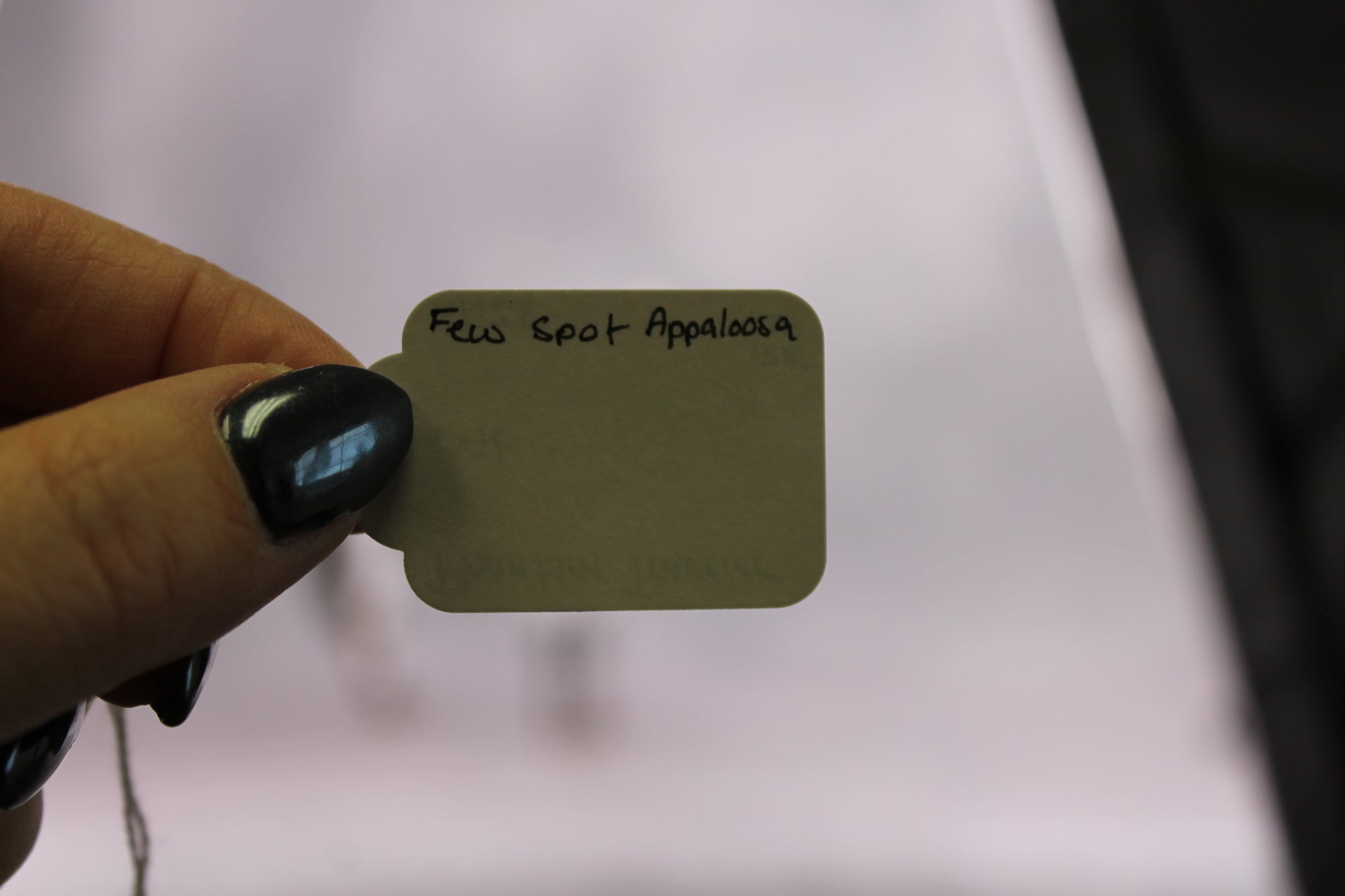 Phantom Traveller OOAK Flebitten Grey Few Spot Appy By Ashley Palmer MM24 MHP Auction Piece