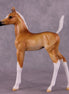 "Sunbeam" OOAK Arab Foal by Julie Keim EQ25