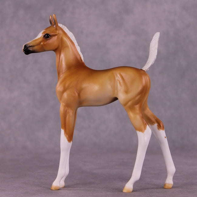 "Sunbeam" OOAK Arab Foal by Julie Keim EQ25