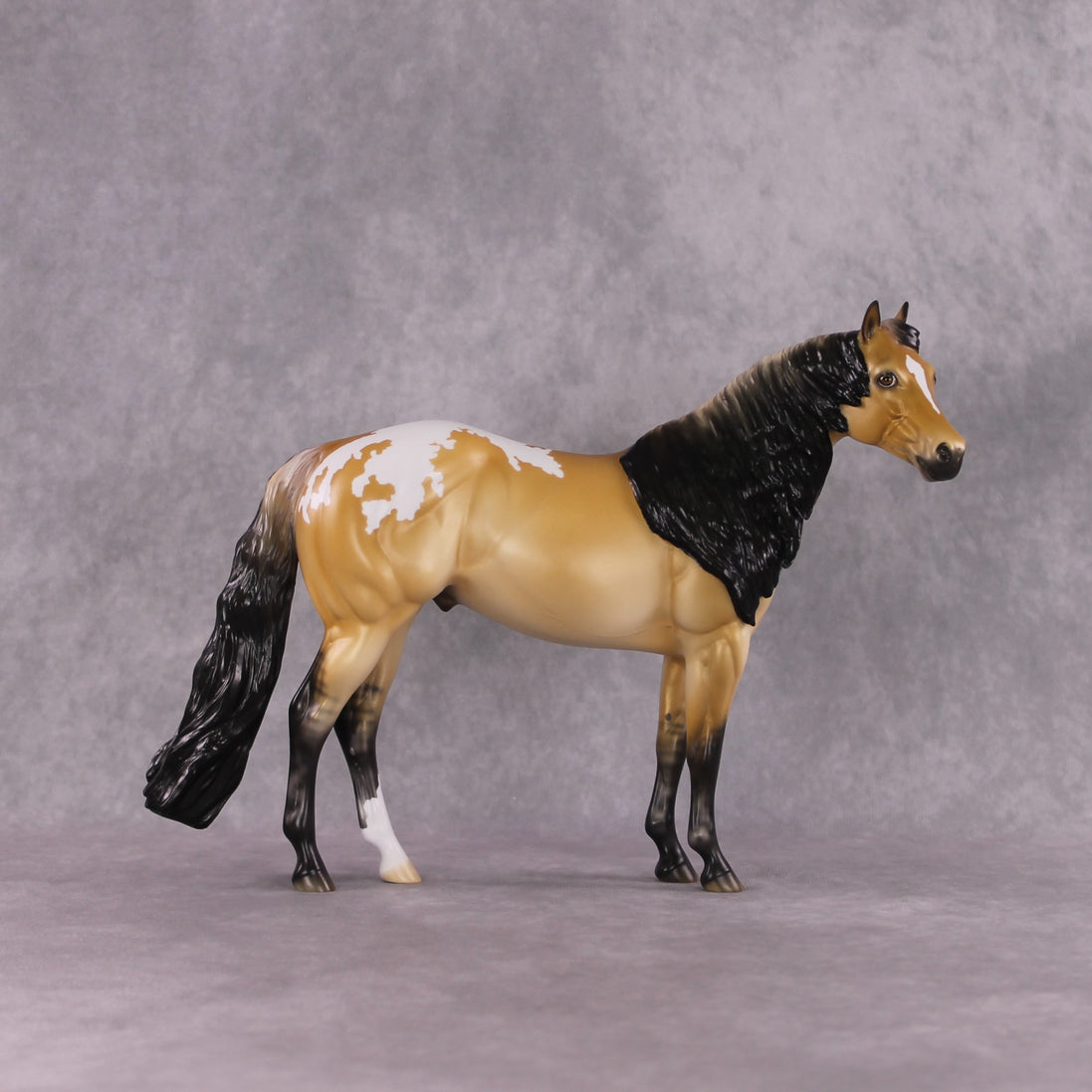 "Sonoran Serenade" LE-10 FCM ISH By Ellen Robbins SHCF25 Run