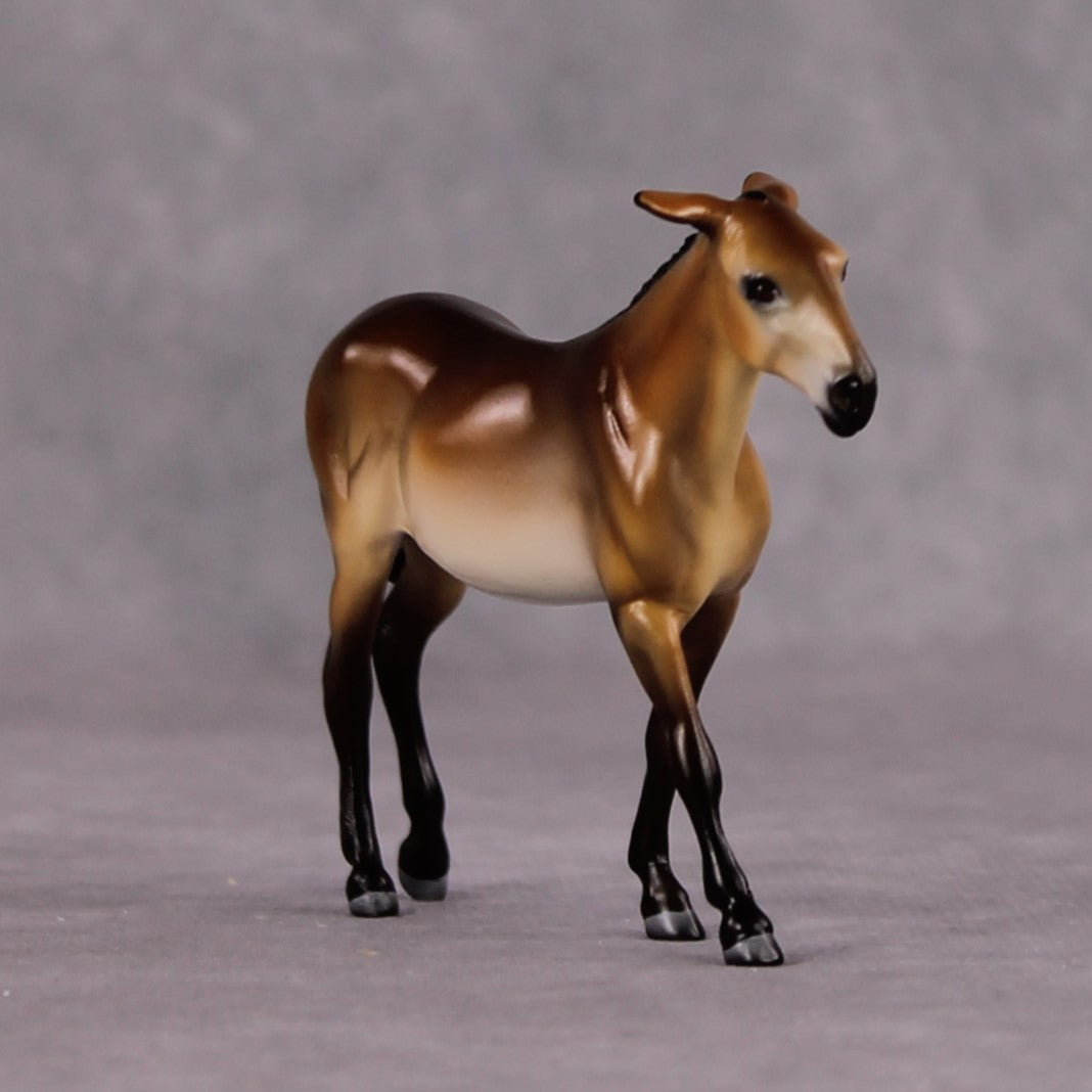 "Lil Sass" OOAK Custom Bay Mule Chip By Tiffany Purdy - GemStone Series