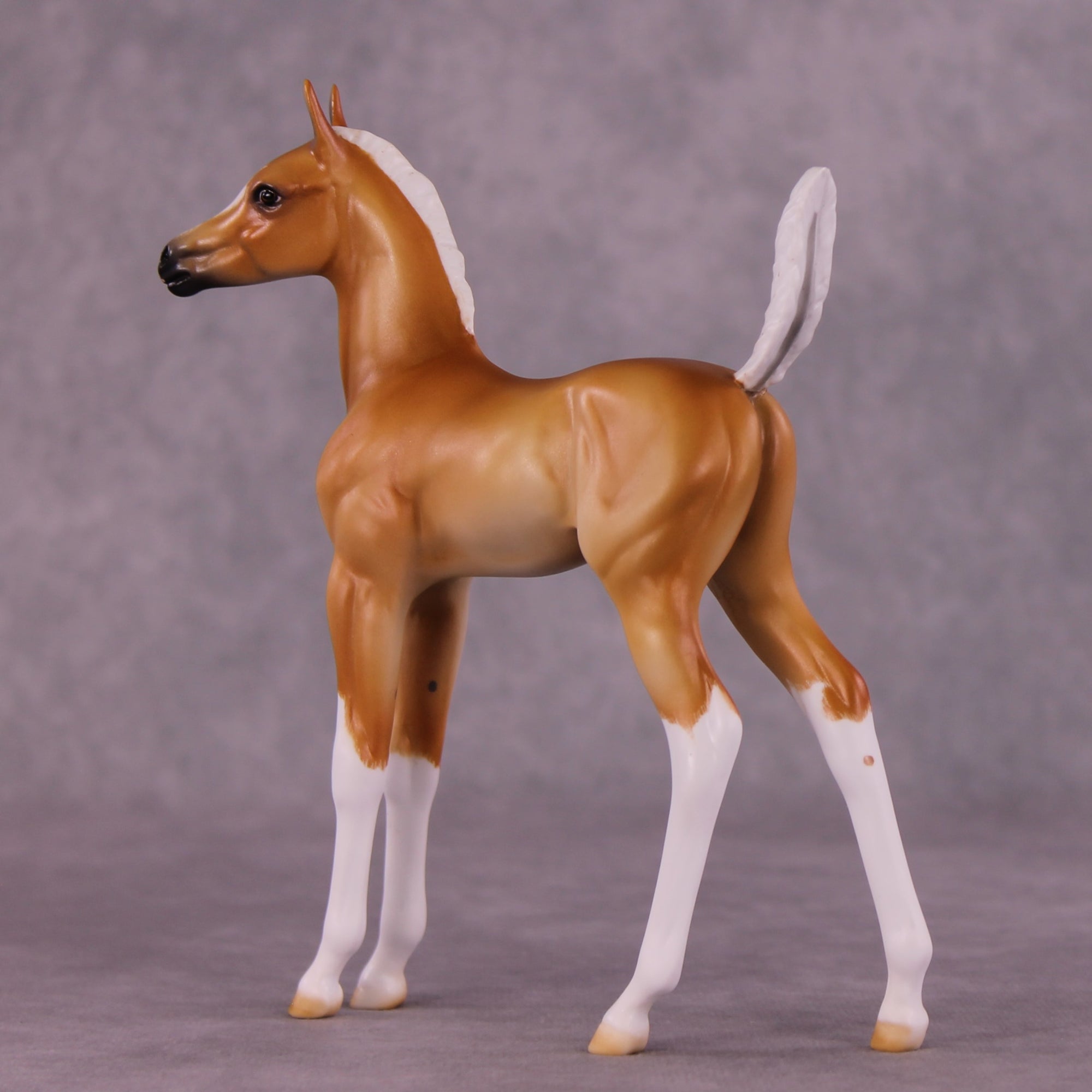 "Sunbeam" OOAK Arab Foal by Julie Keim EQ25