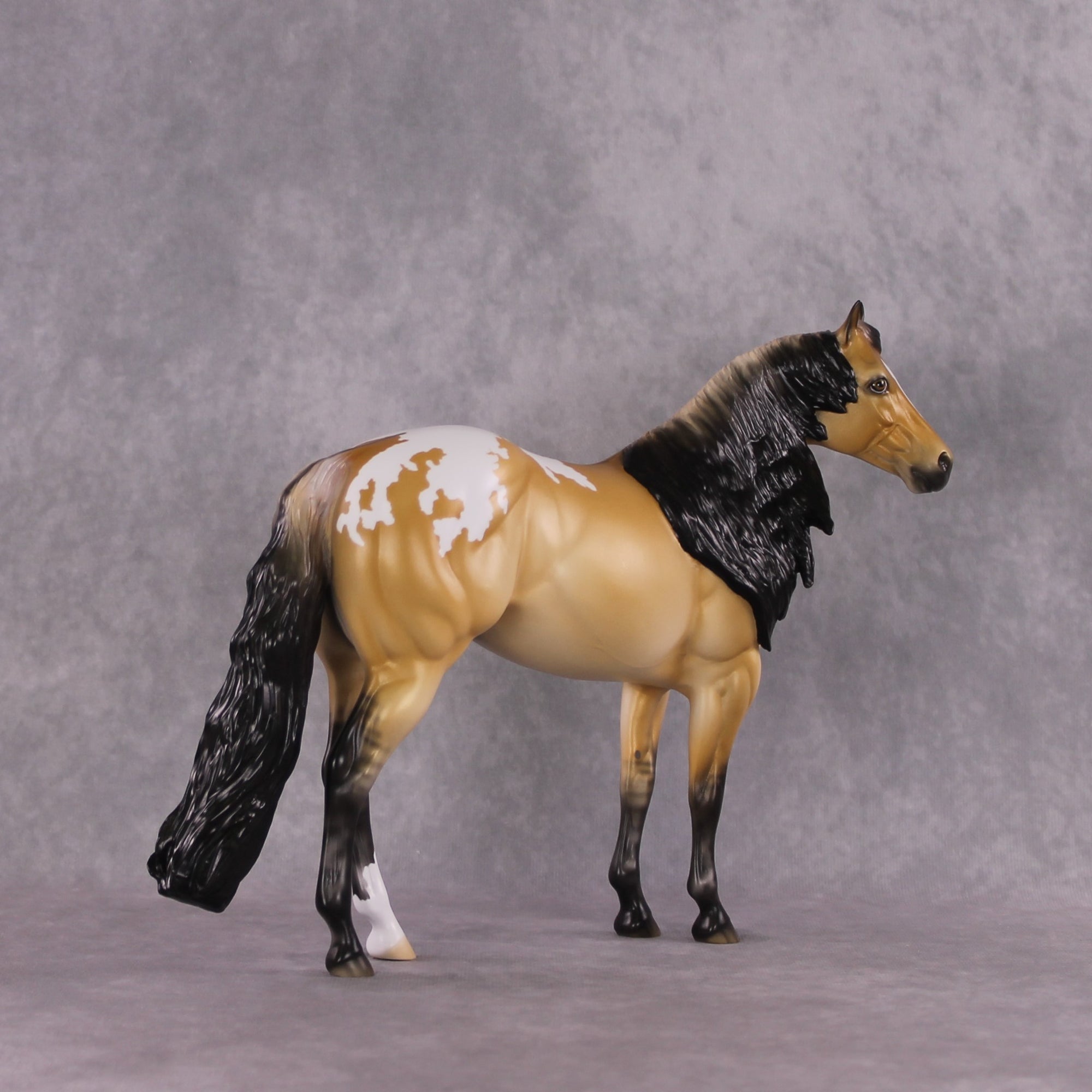 "Sonoran Serenade" LE-10 FCM ISH By Ellen Robbins SHCF25 Run