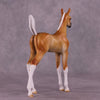 &quot;Sunbeam&quot; OOAK Arab Foal by Julie Keim EQ25