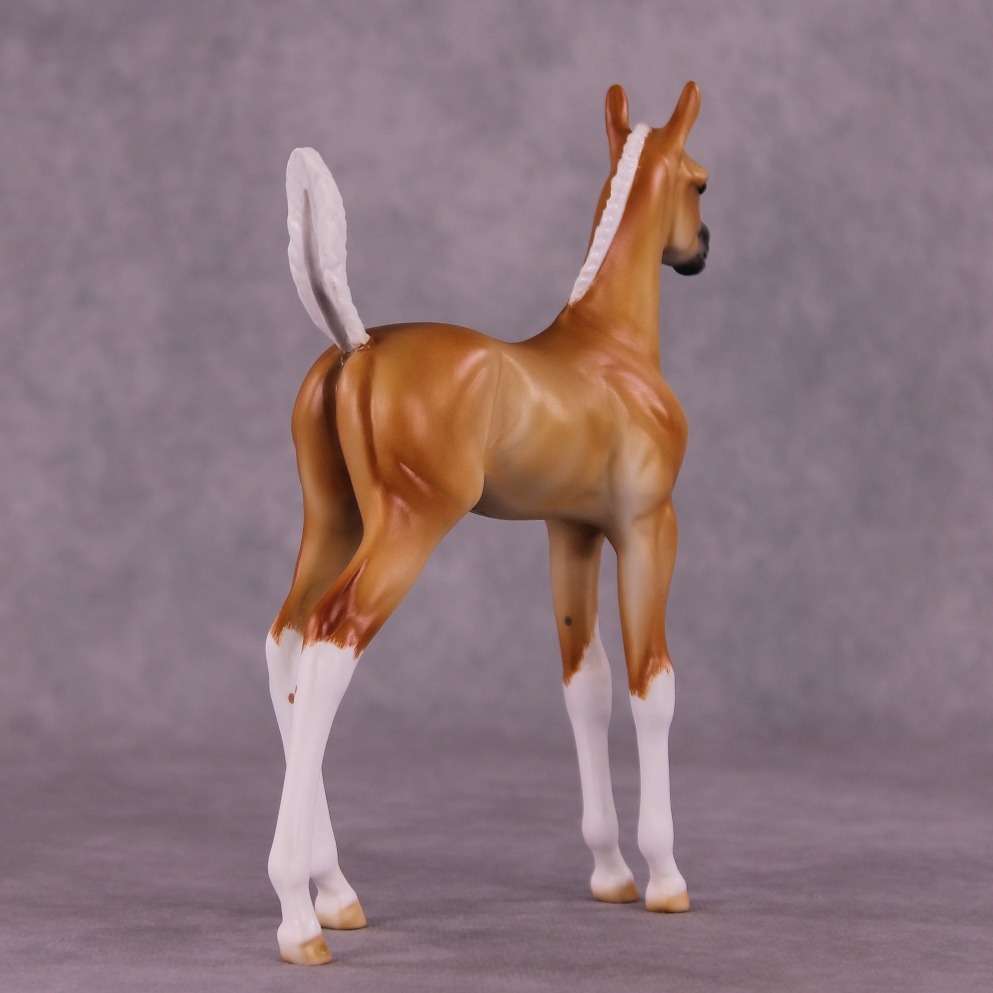 "Sunbeam" OOAK Arab Foal by Julie Keim EQ25