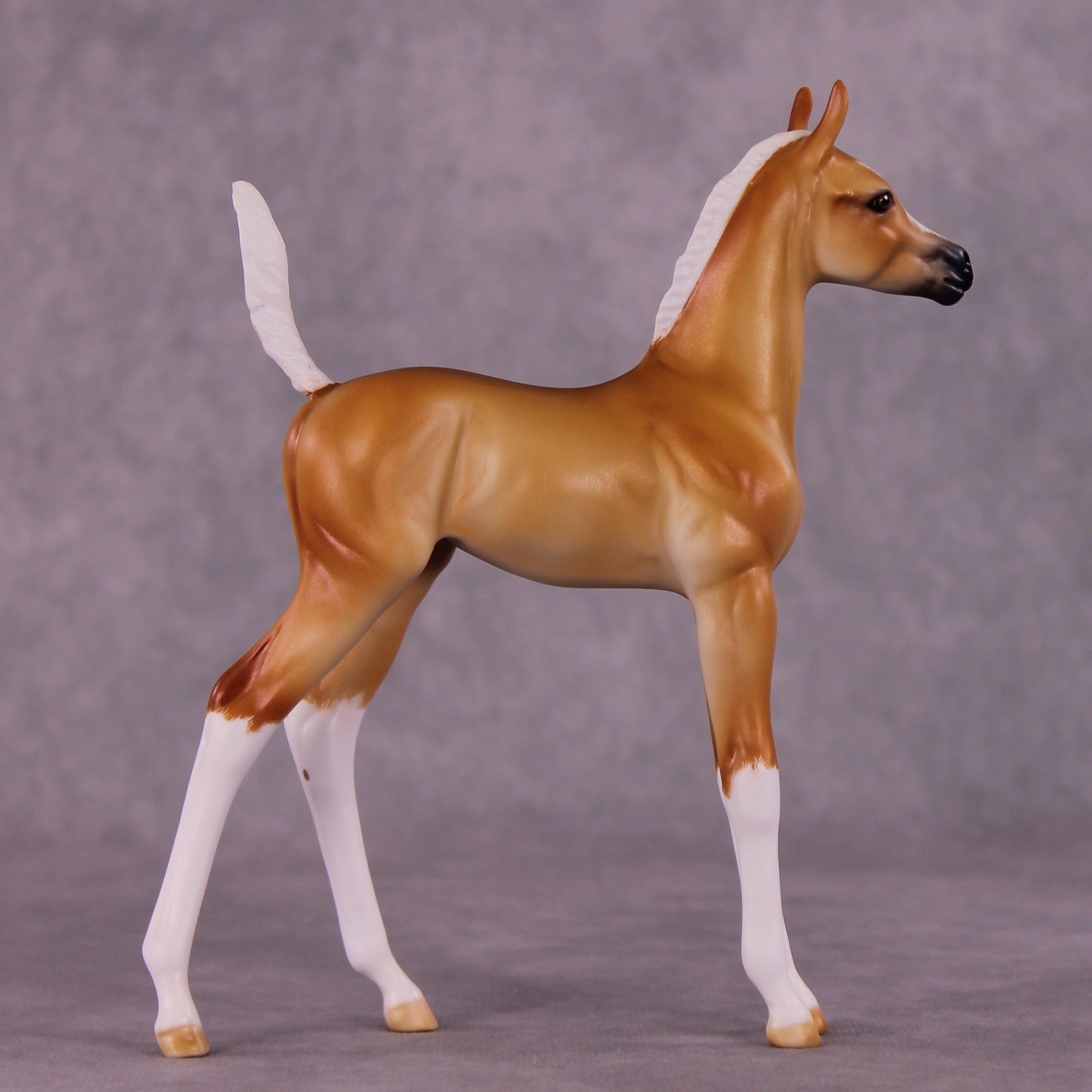 "Sunbeam" OOAK Arab Foal by Julie Keim EQ25