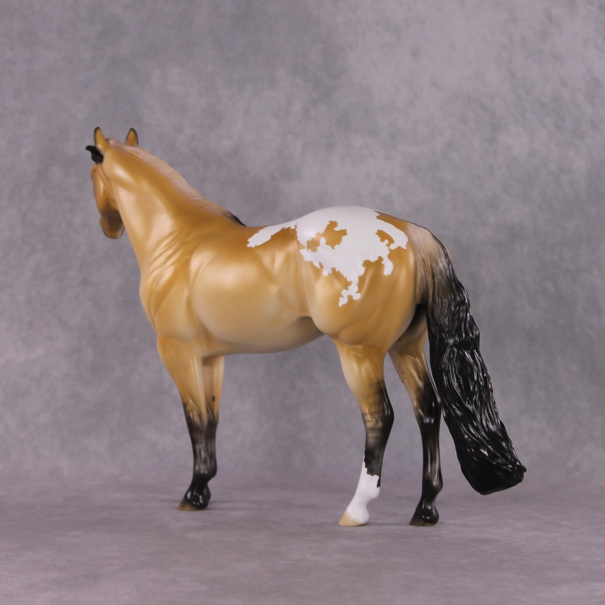 "Sonoran Serenade" LE-10 FCM ISH By Ellen Robbins SHCF25 Run