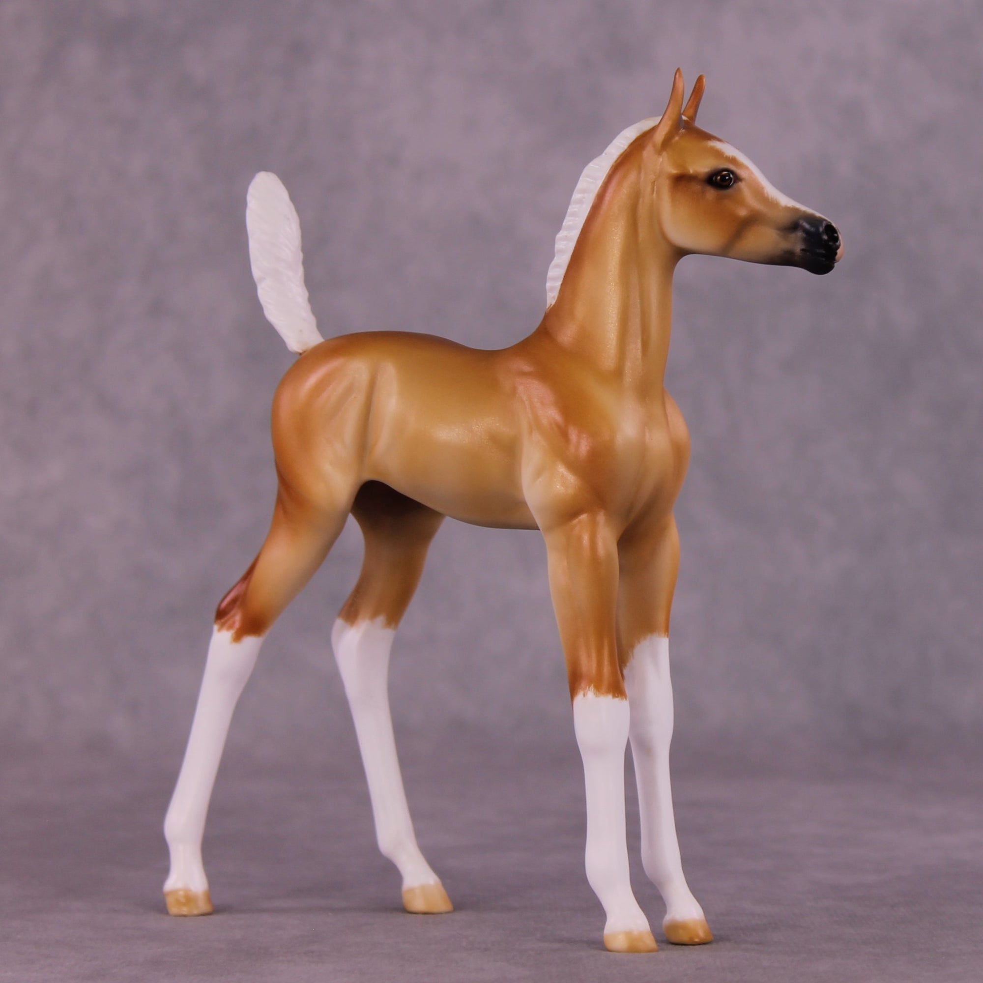 "Sunbeam" OOAK Arab Foal by Julie Keim EQ25