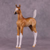 &quot;Sunbeam&quot; OOAK Arab Foal by Julie Keim EQ25