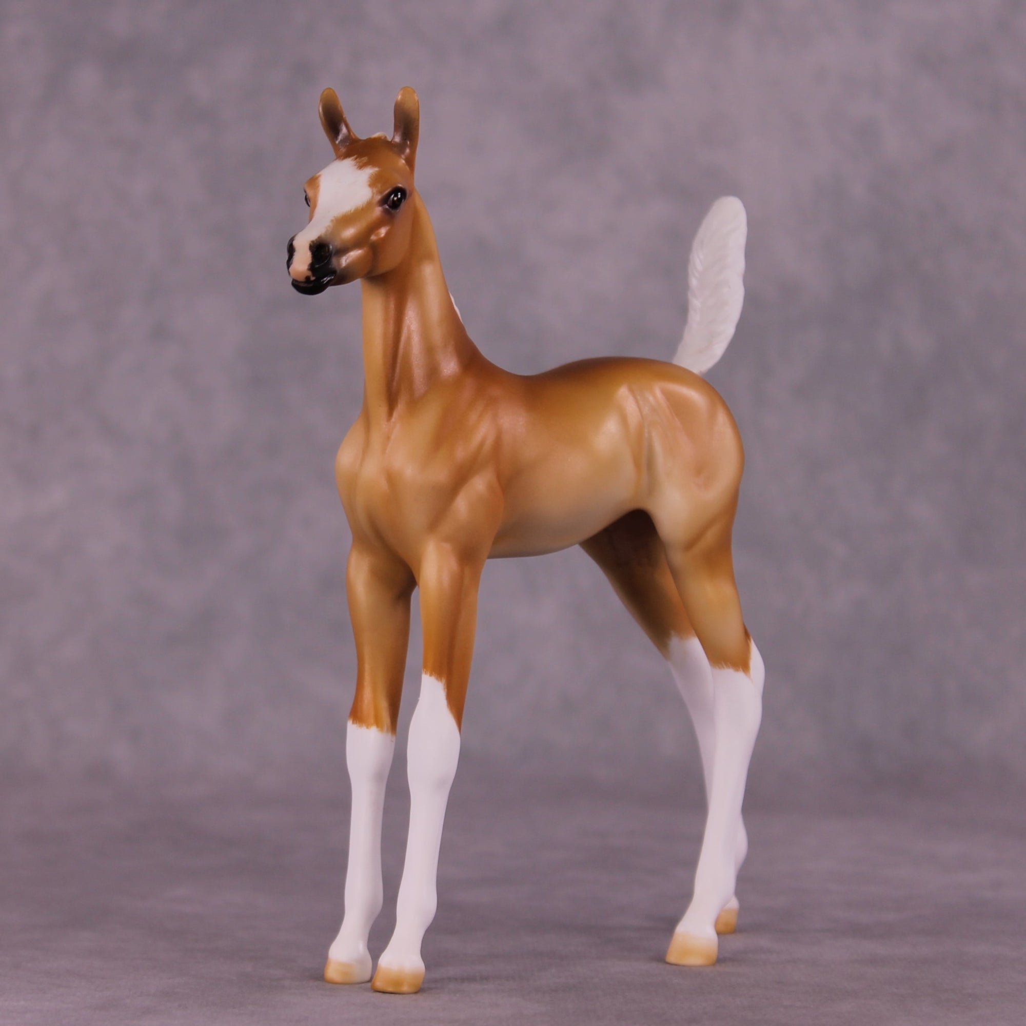 "Sunbeam" OOAK Arab Foal by Julie Keim EQ25
