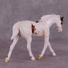 &quot;Hanamichi&quot; OOAK FCM Warmblood Pebble by Dawn Quick EQ25