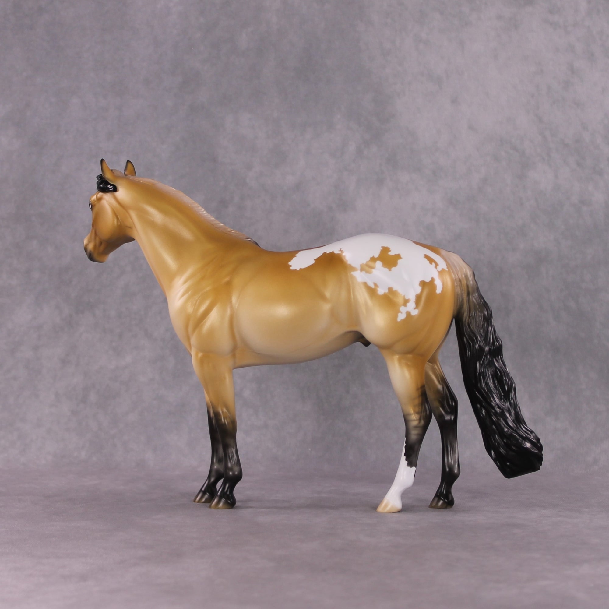 "Sonoran Serenade" LE-10 FCM ISH By Ellen Robbins SHCF25 Run