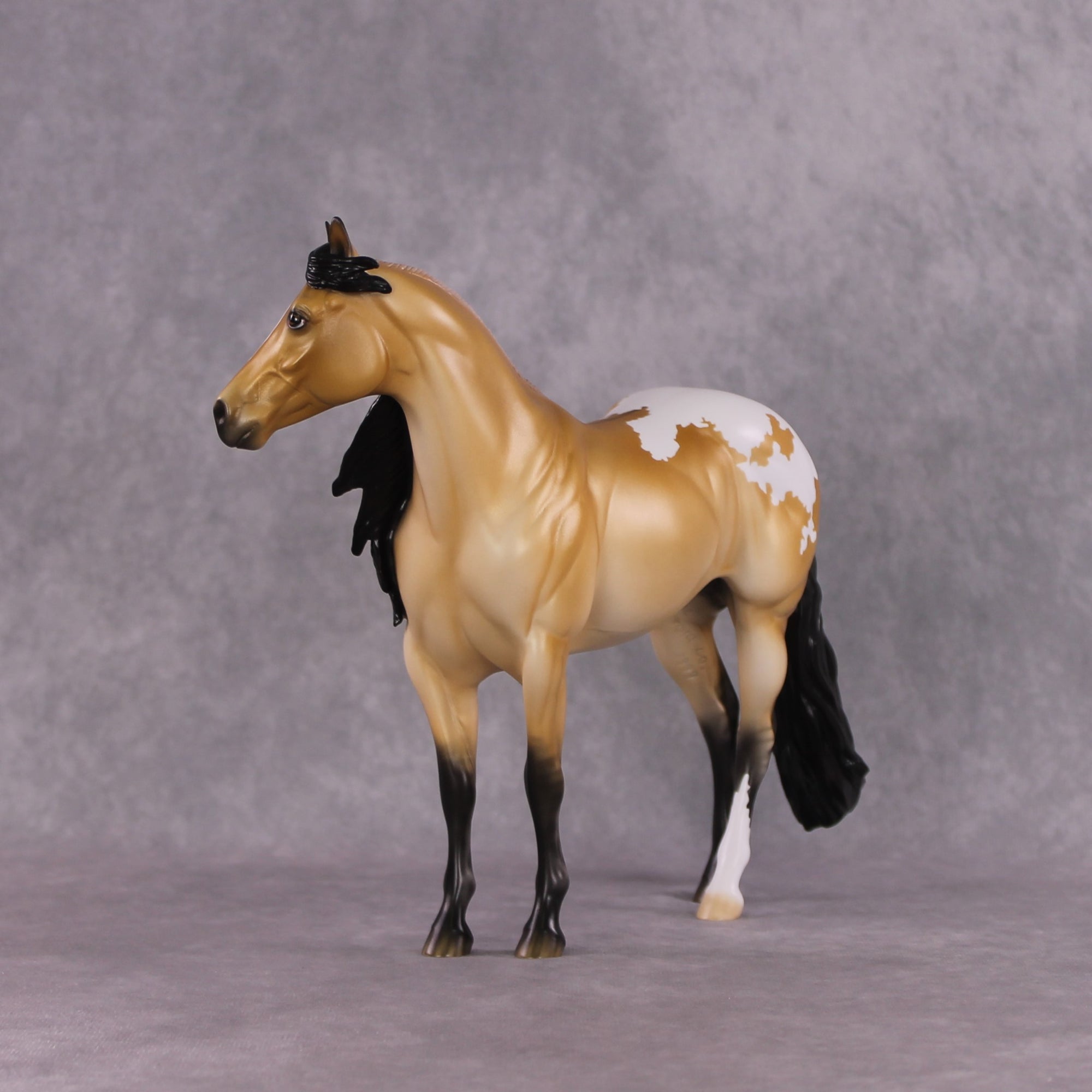 "Sonoran Serenade" LE-10 FCM ISH By Ellen Robbins SHCF25 Run