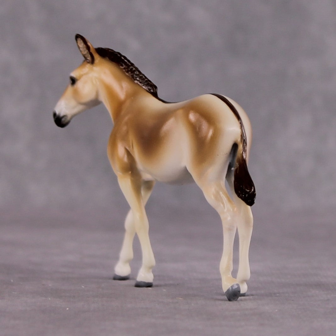 "Purdy Onrhy" OOAK Onager Mule Chip By Tiffany Purdy - GemStone Series