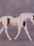 "Hanamichi" OOAK FCM Warmblood Pebble by Dawn Quick EQ25