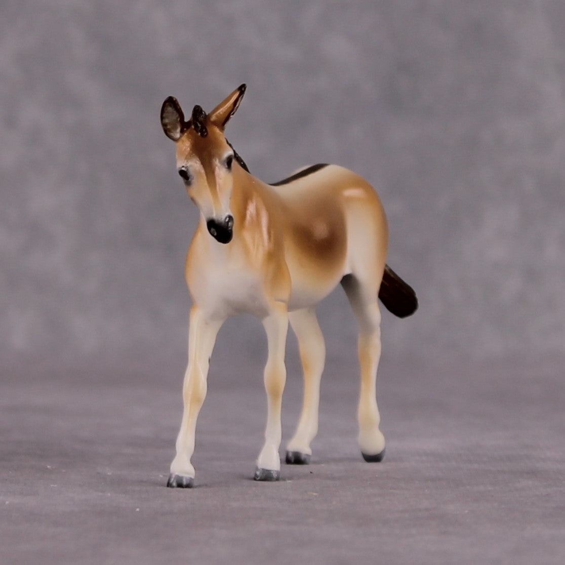 "Purdy Onrhy" OOAK Onager Mule Chip By Tiffany Purdy - GemStone Series