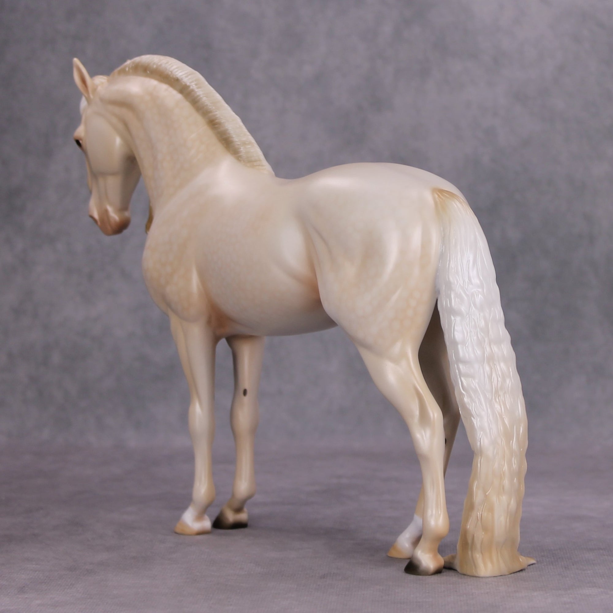 Moonglow OOAK Dappled Gold Cream Champagne Andalusian By Ashley Palmer MM24