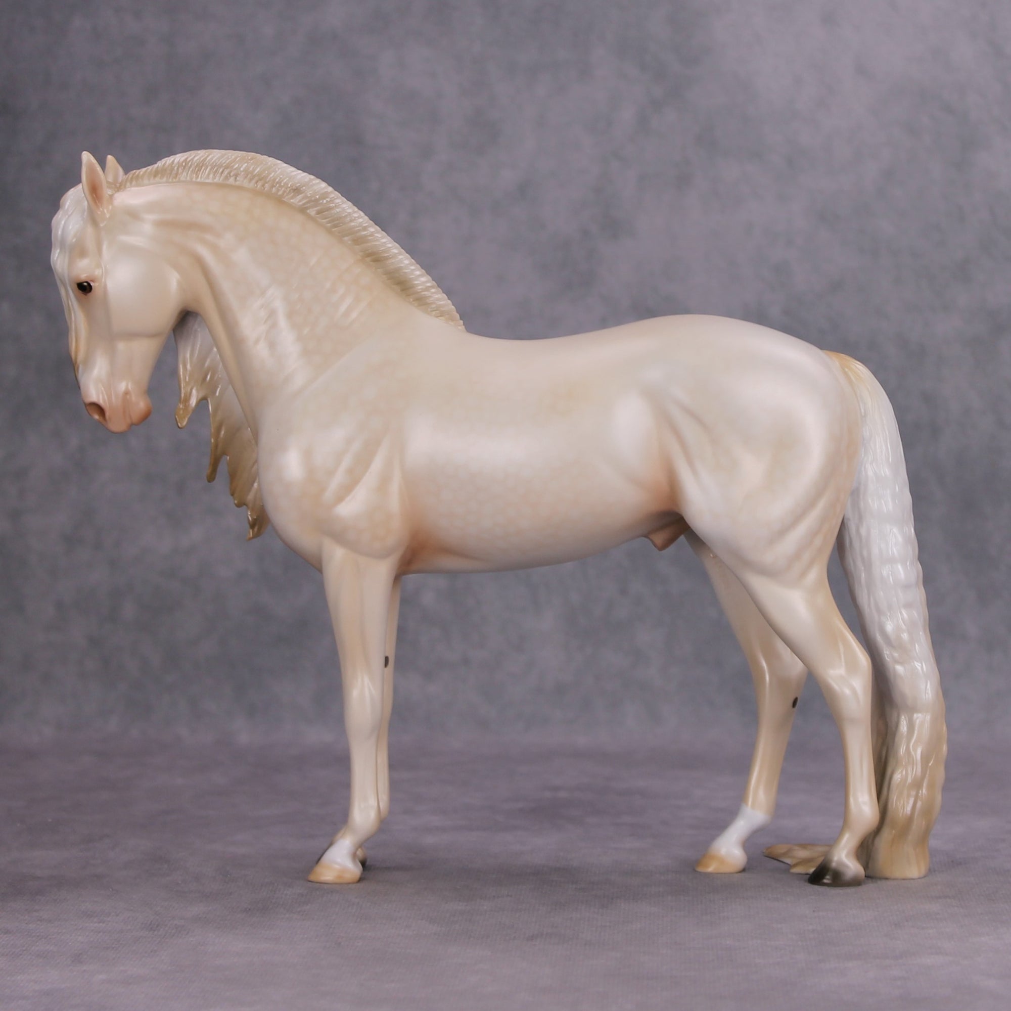 Moonglow OOAK Dappled Gold Cream Champagne Andalusian By Ashley Palmer MM24