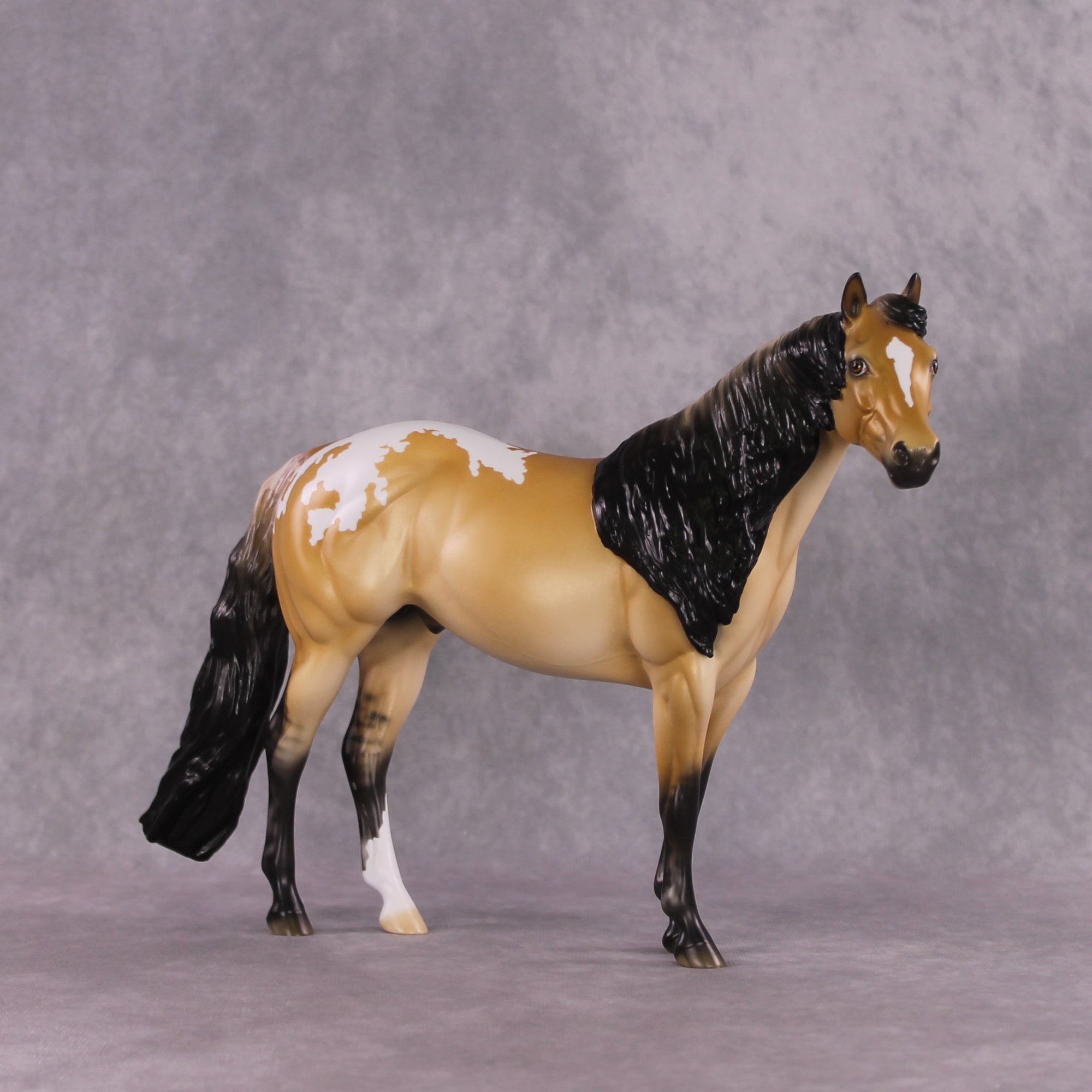 "Sonoran Serenade" LE-10 FCM ISH By Ellen Robbins SHCF25 Run