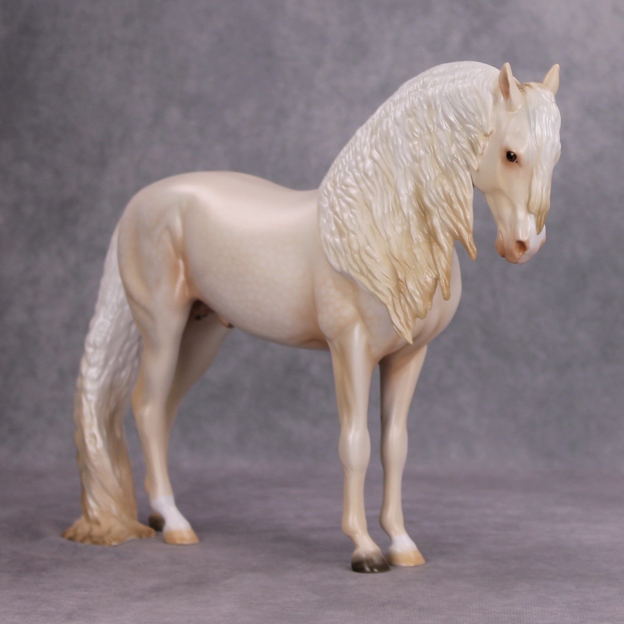 Moonglow OOAK Dappled Gold Cream Champagne Andalusian By Ashley Palmer MM24