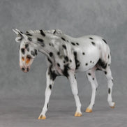 Potion LE-10 FCM Large Mule by Carissa Mathews VV26