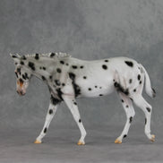 Potion LE-10 FCM Large Mule by Carissa Mathews VV26