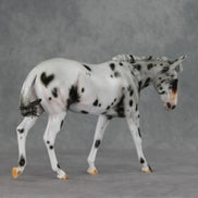 Potion LE-10 FCM Large Mule by Carissa Mathews VV26