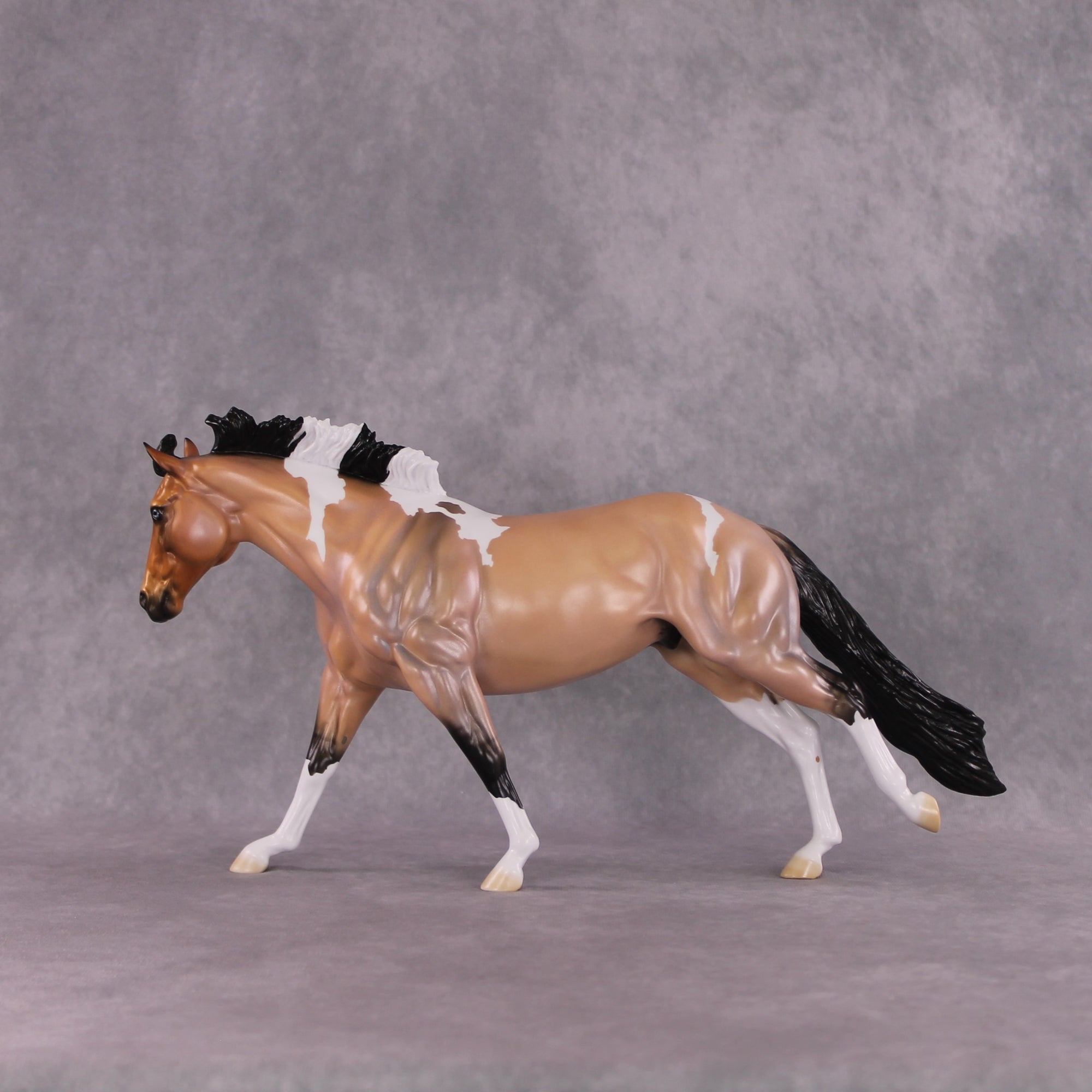 "Murphy's Law" LE-10 FCM Remington By Ellen Robbins SHCF25 Run