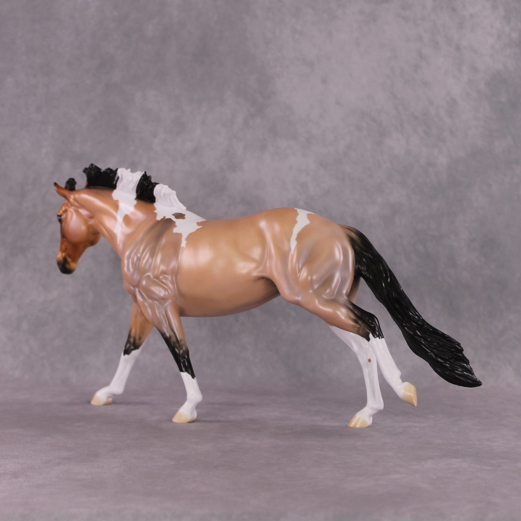 "Murphy's Law" LE-10 FCM Remington By Ellen Robbins SHCF25 Run