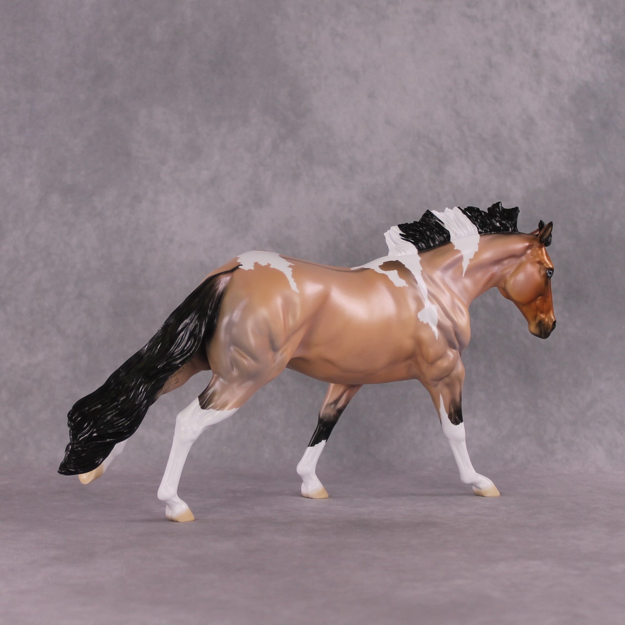 "Murphy's Law" LE-10 FCM Remington By Ellen Robbins SHCF25 Run